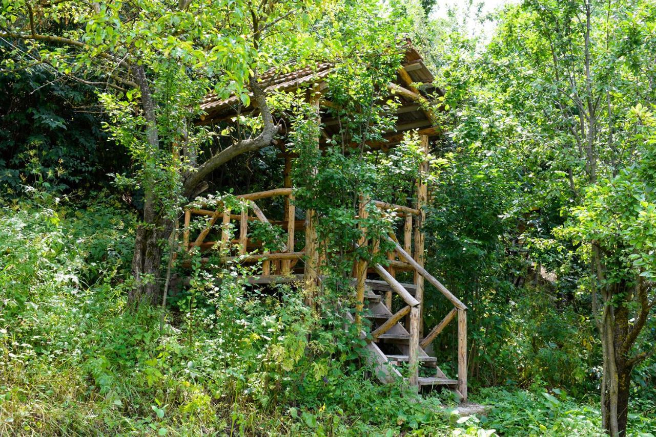 Verin Tun Dilijan Exterior photo